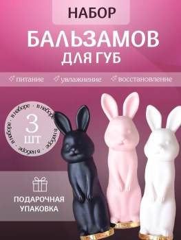 Одежда