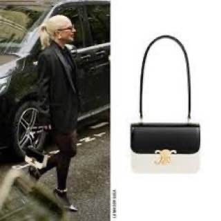 сумка celine,сумка,celine женская сумка,сумки женская,элегантная сумка