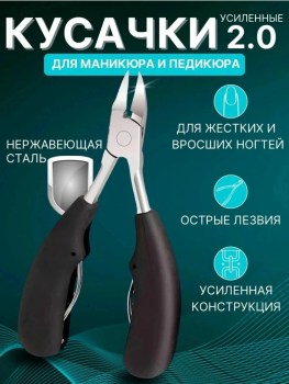 Одежда