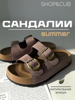 Сланцы