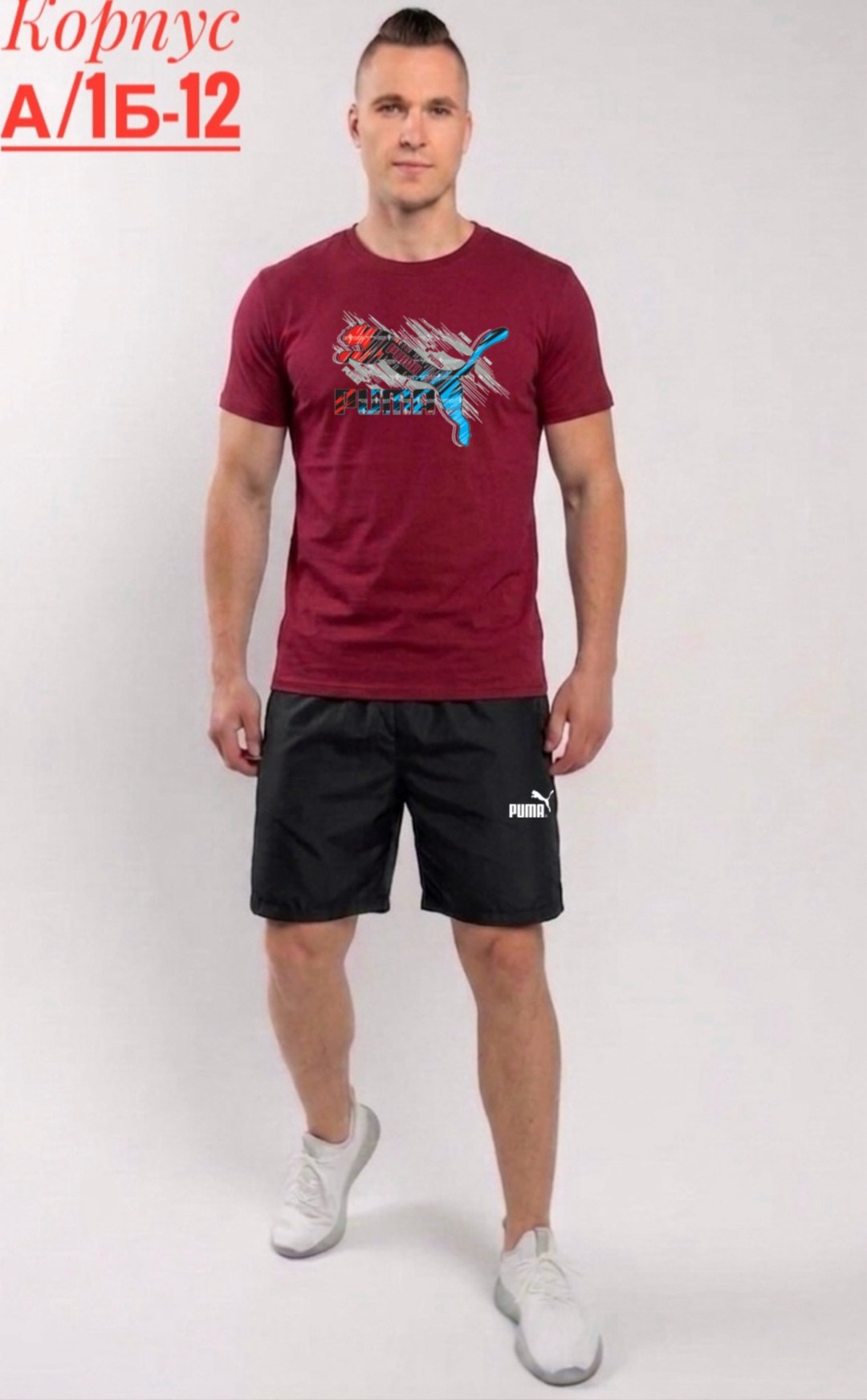 мужские спортивные костюмы,костюм с шортам,футболки базовая,puma футболка