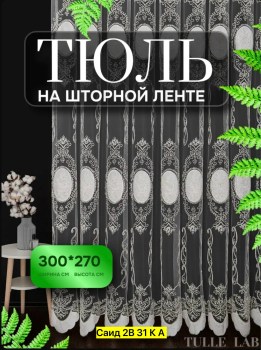 Одежда