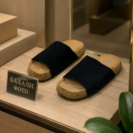 Сланцы