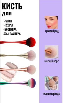 Одежда