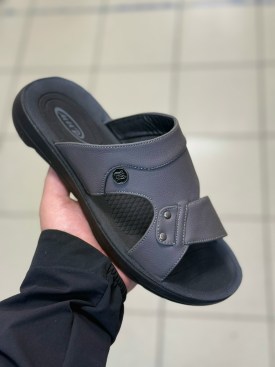 Сланцы