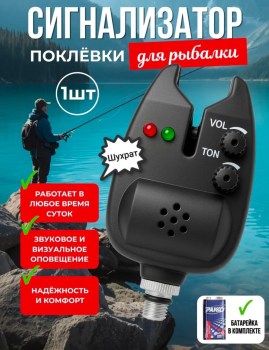 Одежда