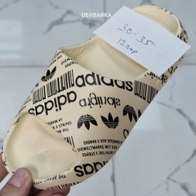 Сланцы