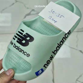 Сланцы