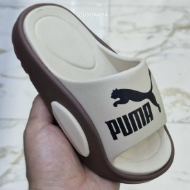 Сланцы