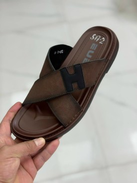 Сланцы
