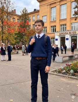 Штаны