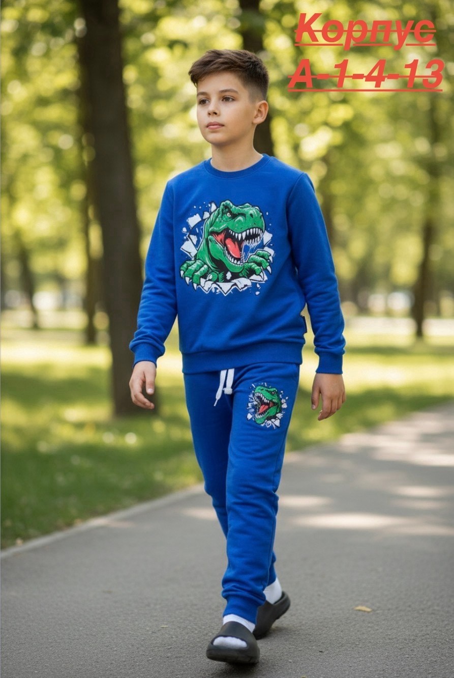 костюм спортивный для мальчика,одежда для мальчика,костюм для мальчика,детские костюмы,спортивный костюм для мальчика детский