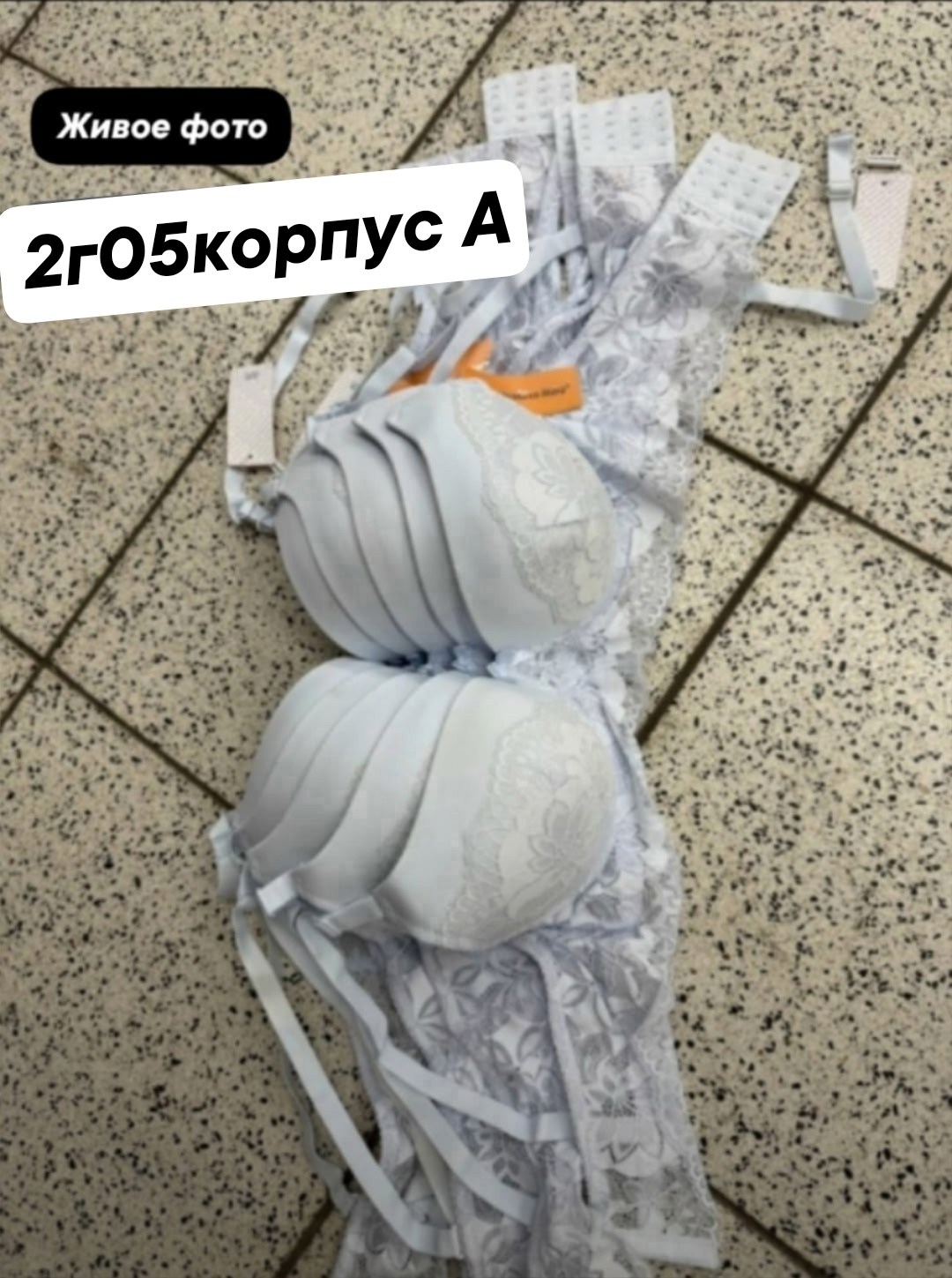 бюстгальтер,нижнее белье женское,нижнее белье бюстгальтер,бюстгальтер женский,бюстгальтер пуш ап