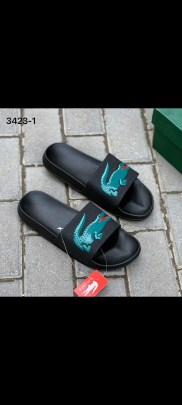 Сланцы