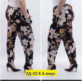 Бриджи