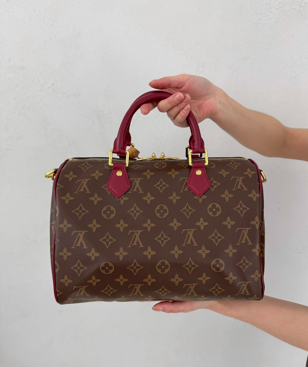 cумка louis vuitton,louis vuitton speedy,louis vuitton женская сумка,louis vuitton monogram,louis vuitton speedy 25