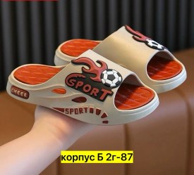 Сланцы