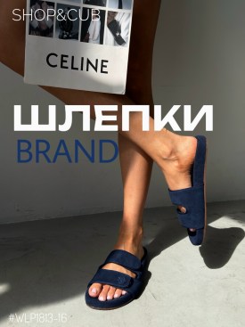 Сланцы
