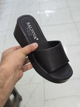 Сланцы