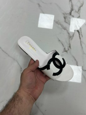 Сланцы