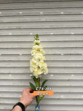 Новый год