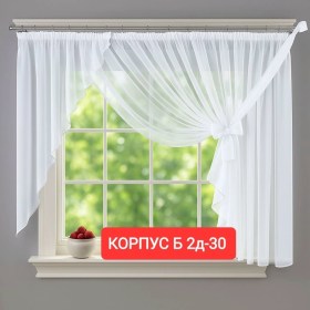Одежда