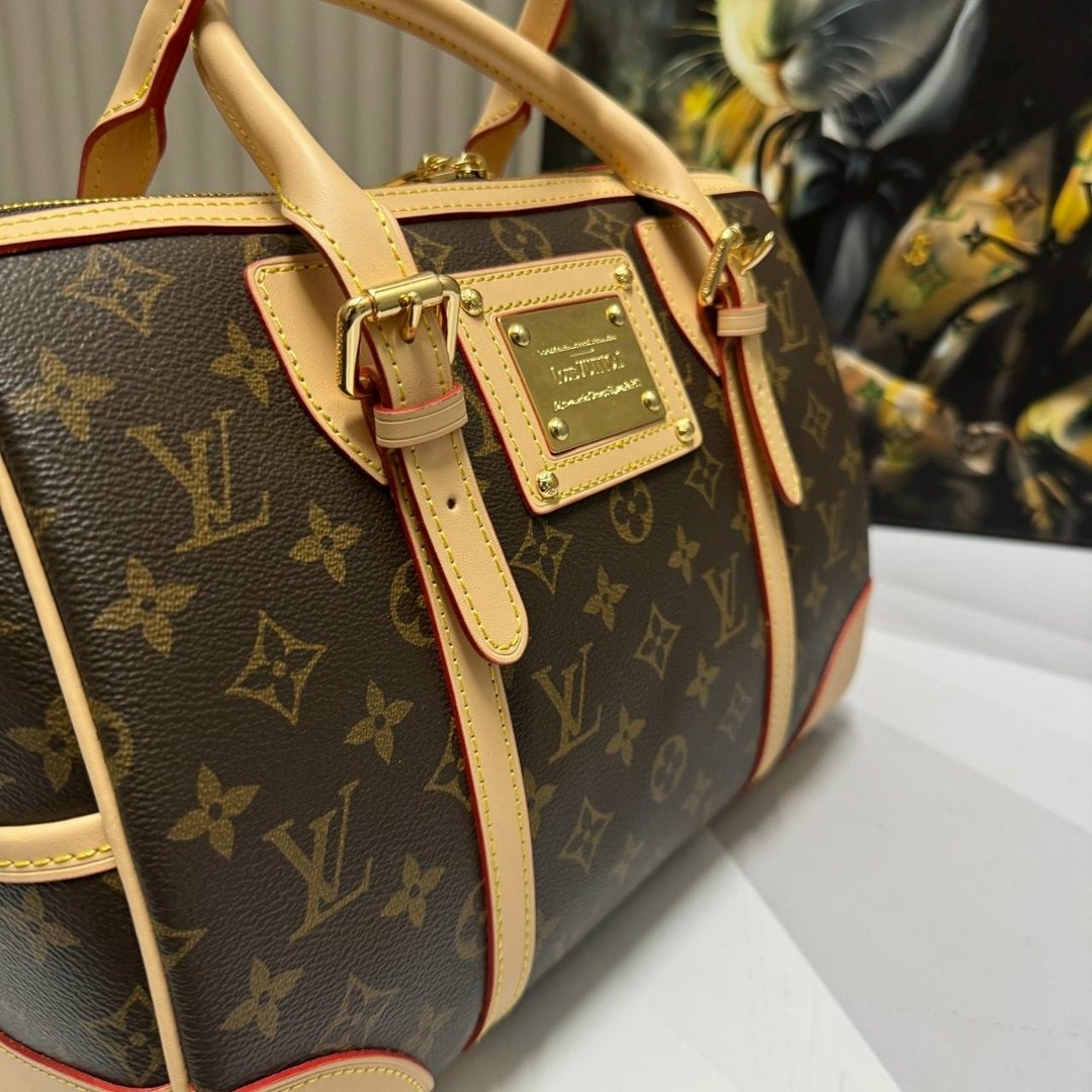 сумка луи виттон,cумка louis vuitton,женская сумка louis vuitton,сумка луи виттон croisette,сумка луи виттон женская
