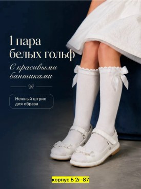 Одежда