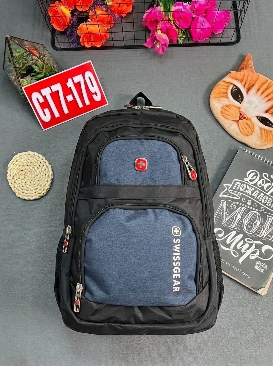 рюкзак swissgear,швейцарский рюкзак swissgear,городской рюкзак swissgear,swissgear водонепроницаемый швейцарский рюкзак,рюкзак swissgear 8810 черно-серый