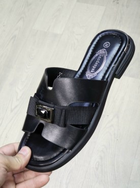 Сланцы