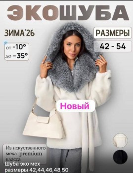 Верхняя одежда