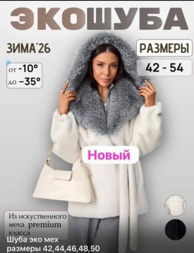 Верхняя одежда