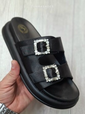 Сланцы