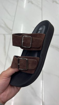 Сланцы
