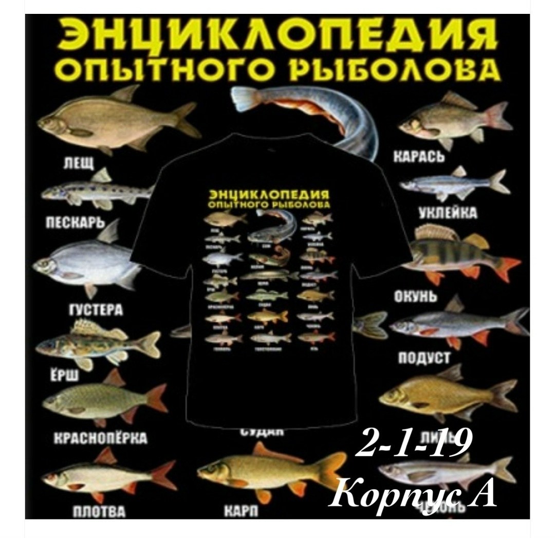 футболка медведи,футболка с медведем мужская,футболка волк,футболка мужская,футболка