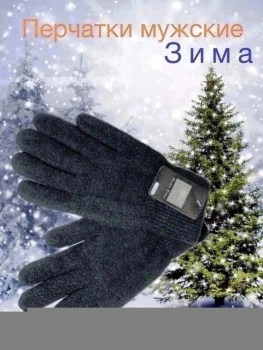 Одежда