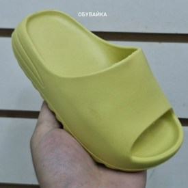 Сланцы