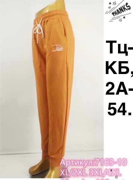 спортивные штаны на флисе женские,брюки спортивные женские джоггеры штаны,спортивные женские штаны,спортивные женские брюки,спортивный брюки