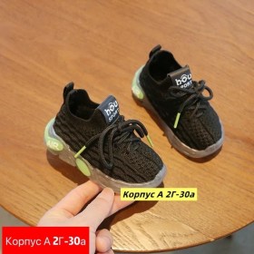 Одежда
