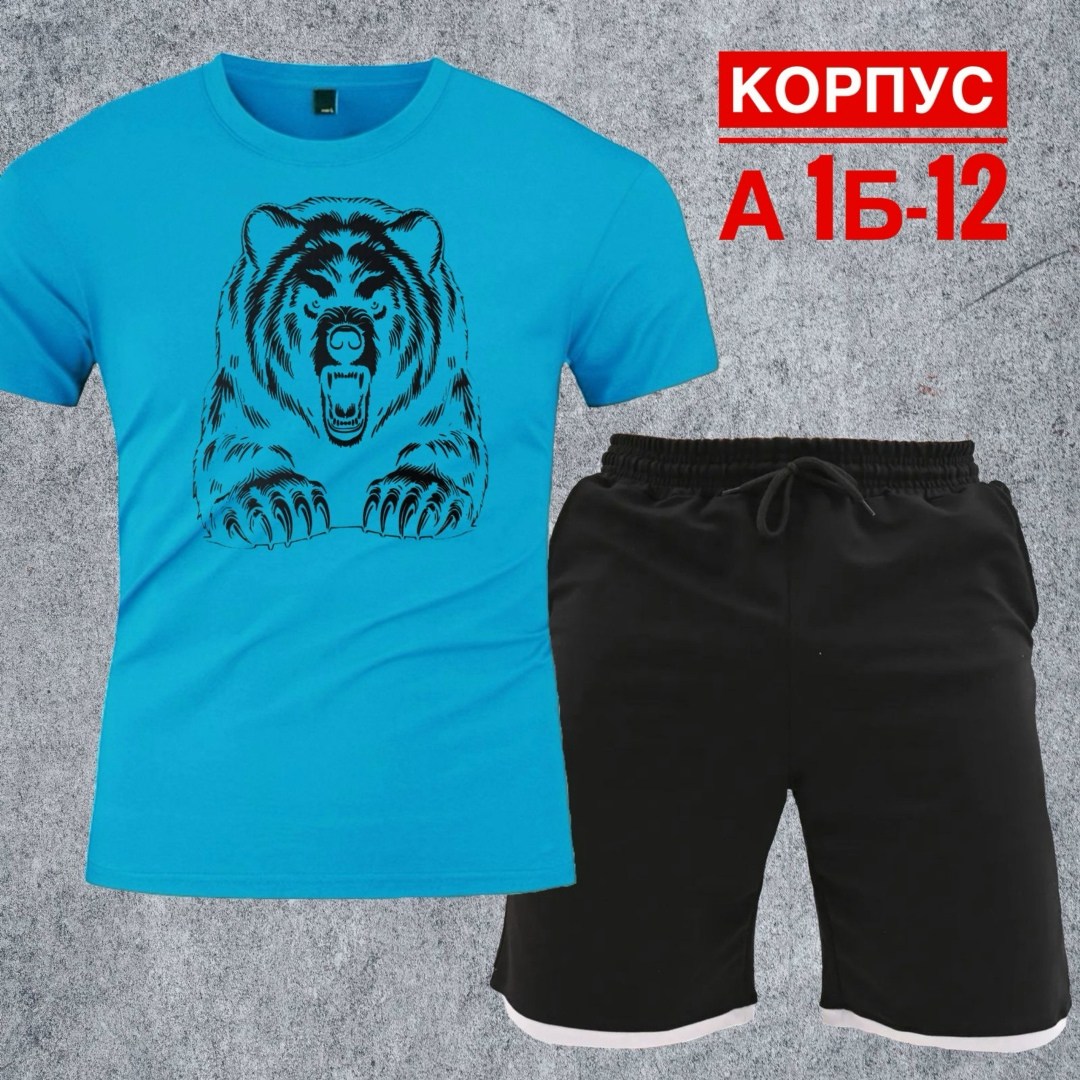 костюм с шортами и футболкой спортивный летний мужской,костюм для мужчин,костюм спортивный мужской,костюм мужской