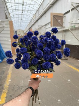 Новый год