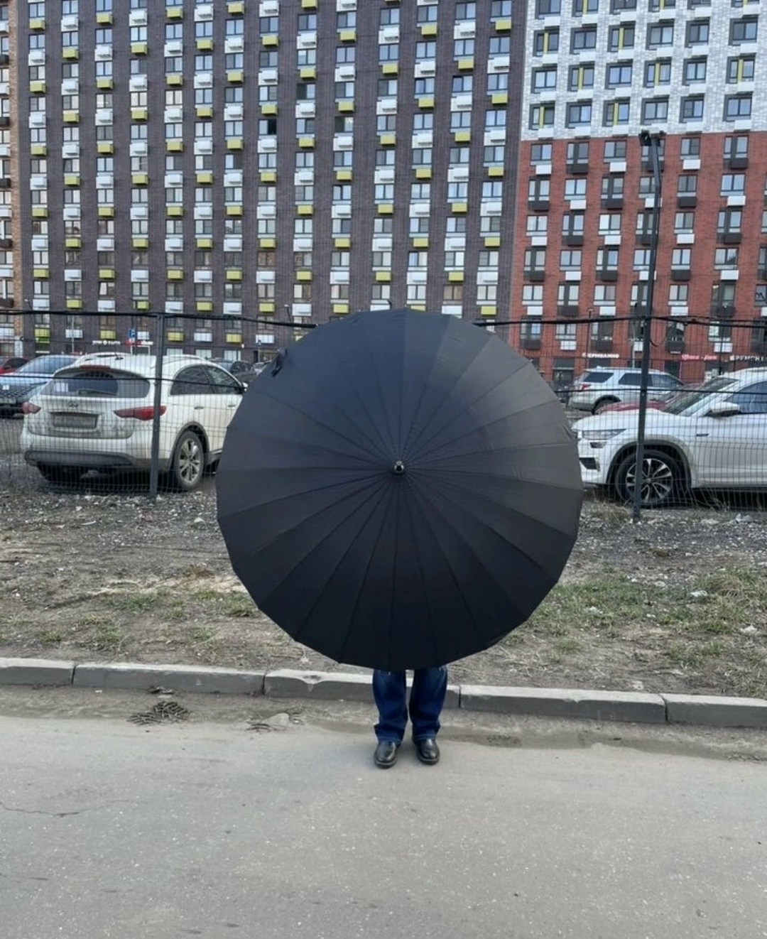 зонт мужской,зонт мужской трость,зонт зонт,зонт,черный зонт