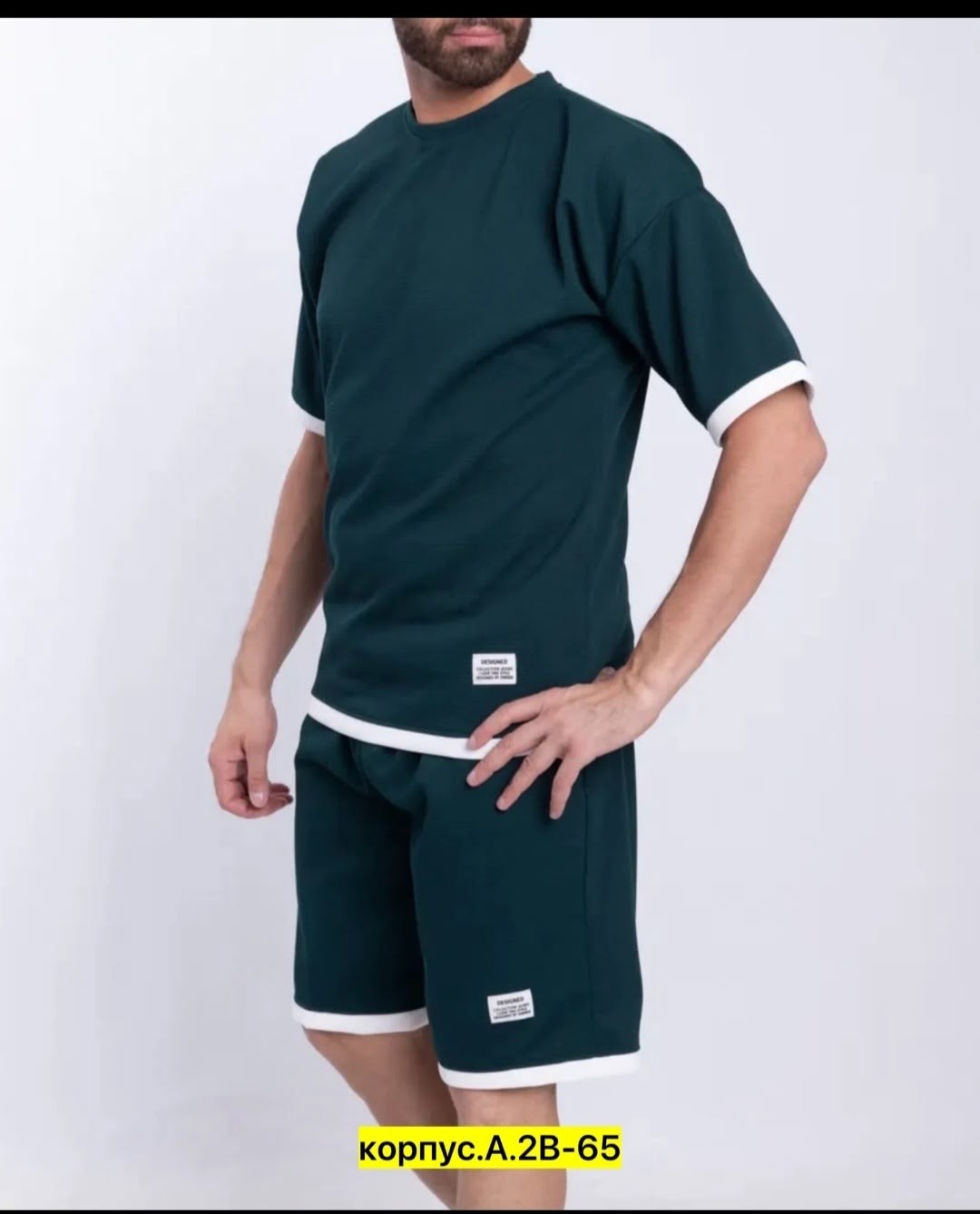 костюм спортивный мужской летний с шортами,костюм спортивный с шортами и футболкой летний,костюм спортивный мужской с шортами и футболкой,костюм спортивный шорты с футболками,шорты мужские летние