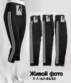Лосины