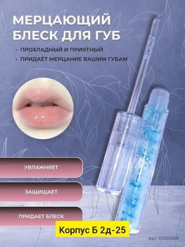 Одежда