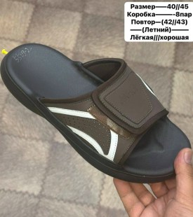 Сланцы