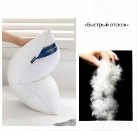 Одежда