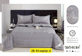 Одежда