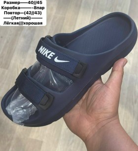 Сланцы
