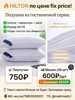 Одежда